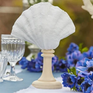Decorazione Conchiglia bianca con base