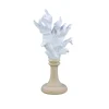 Decorazione Corallo bianco con base