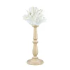 Decorazione Corallo bianco con base