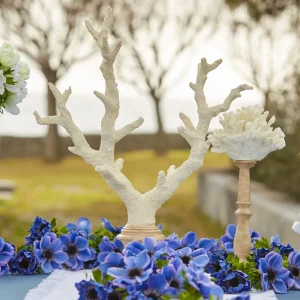 Decorazione Corallo bianco con base