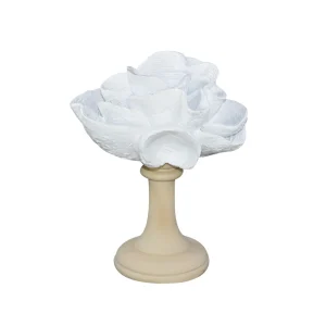 Decorazione Spugna bianca con base