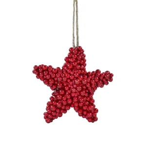 Stella di bacche rosse