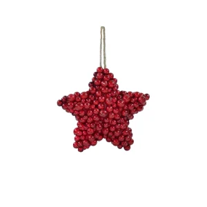 Stella di bacche rosse