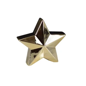 Stella di natale in porcellana